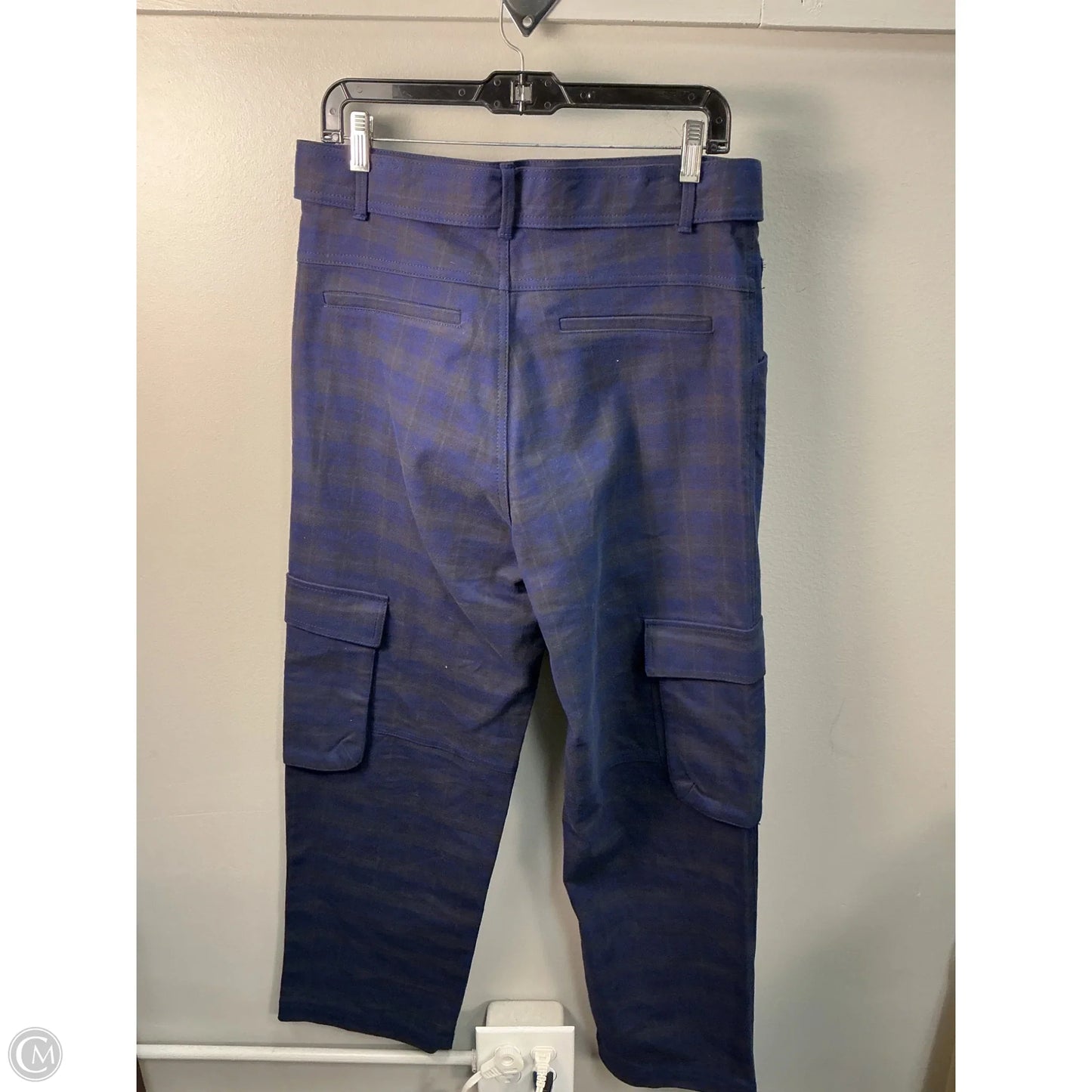 Pants Other By Zara In Blue, Size: L