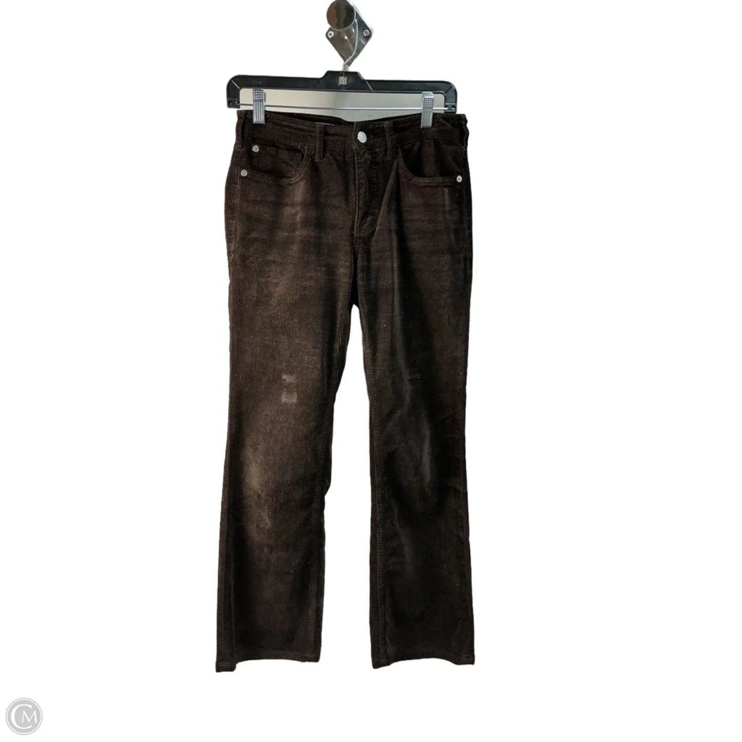 Pants Corduroy By Pilcro In Brown, Size: 0