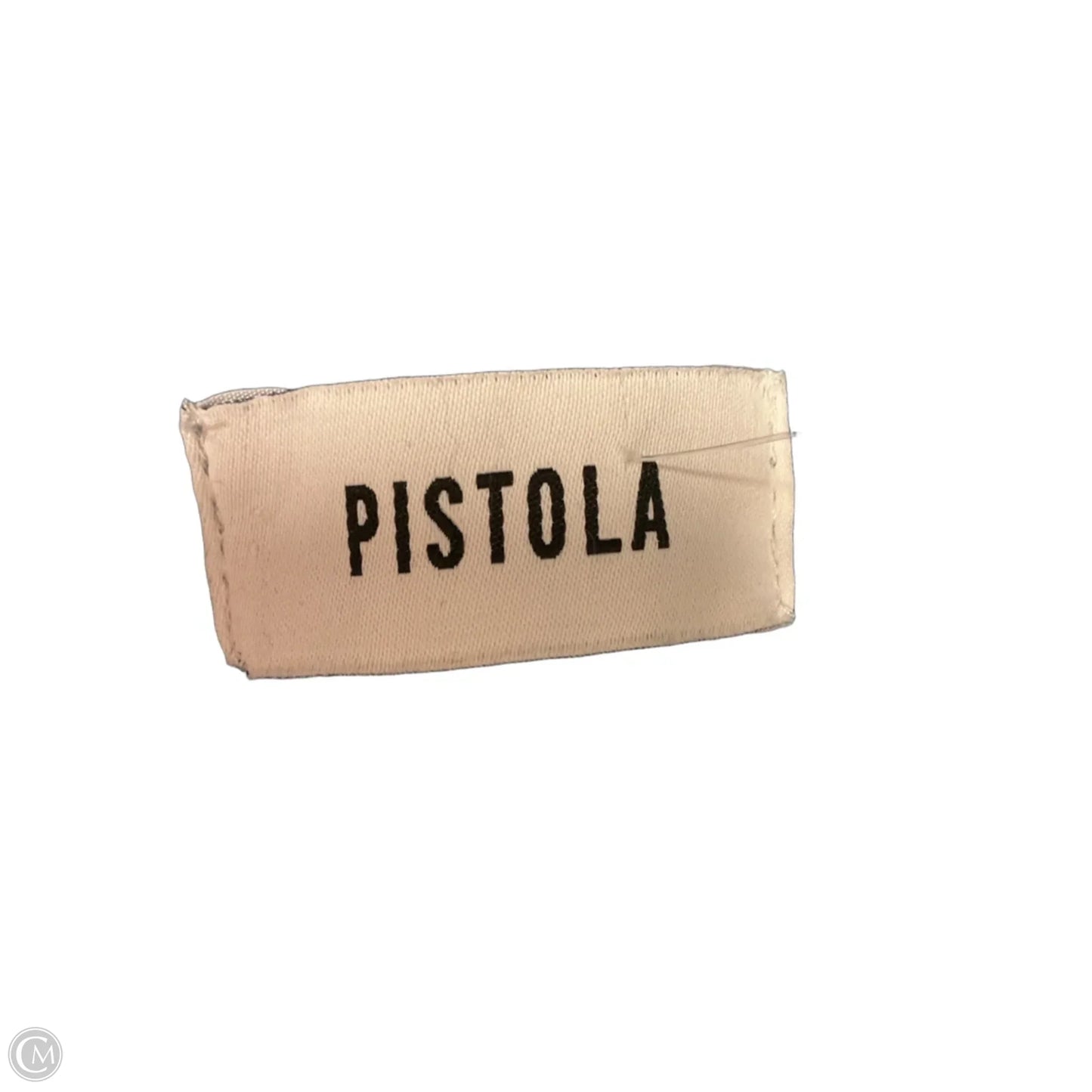 Skirt Maxi By Pistola In Blue Denim, Size: 2