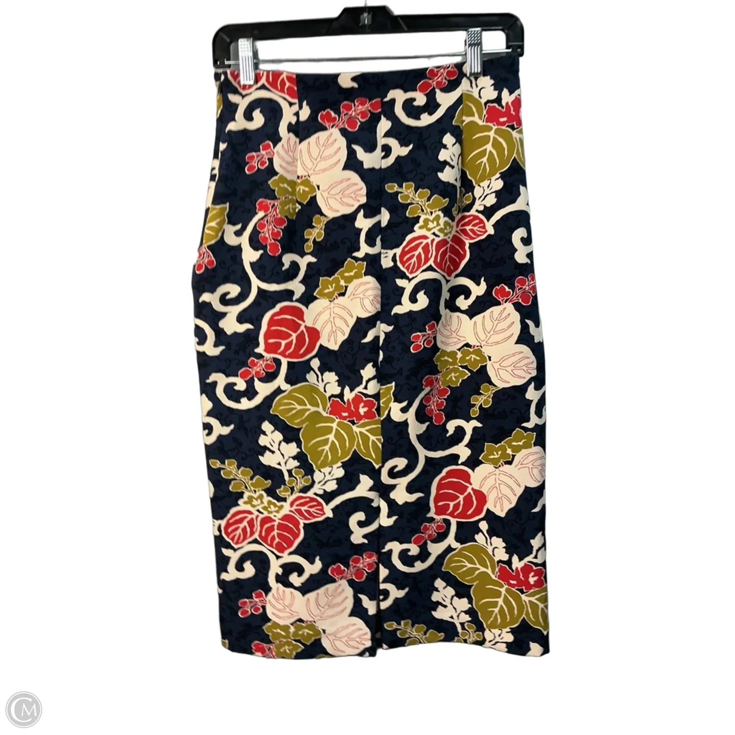 Skirt Maxi By Zara Basic In Blue & Green, Size: 2