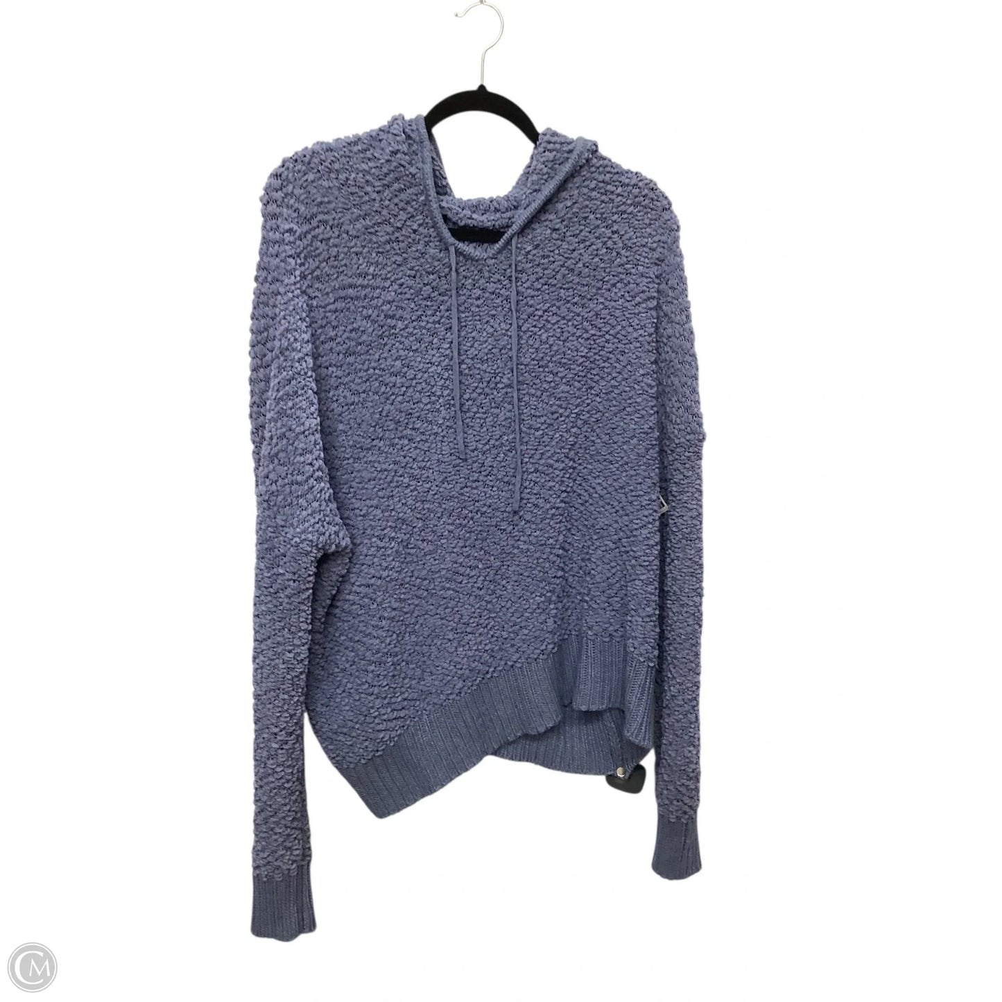 Sweatshirt Hoodie By Clothes Mentor In Blue, Size: L