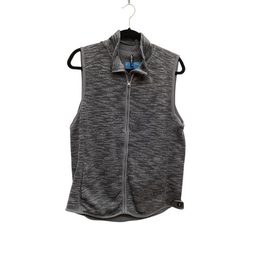 Vest Other By Clothes Mentor In Grey, Size: L