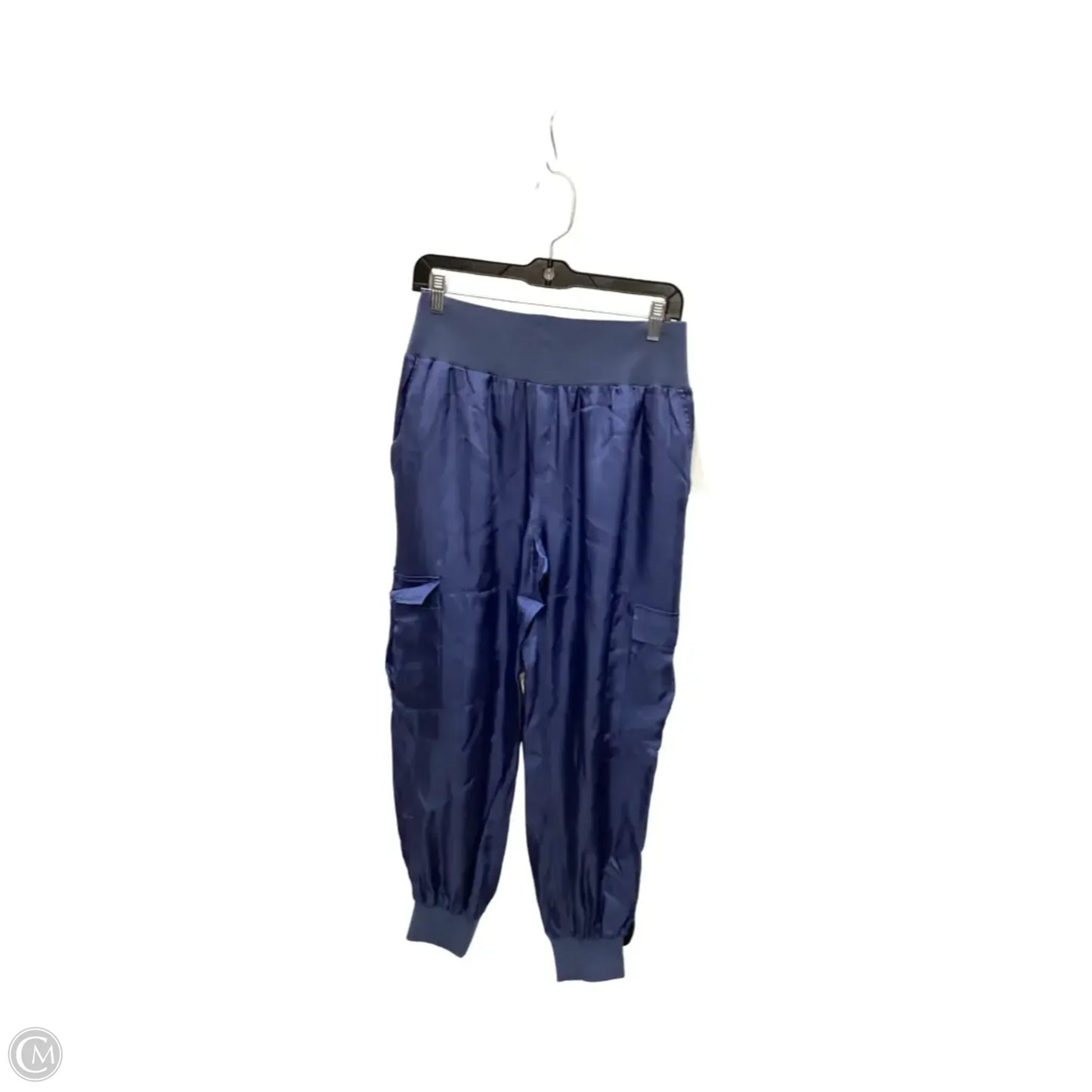Pants Cargo & Utility By Cinc A Sept In Blue, Size: L