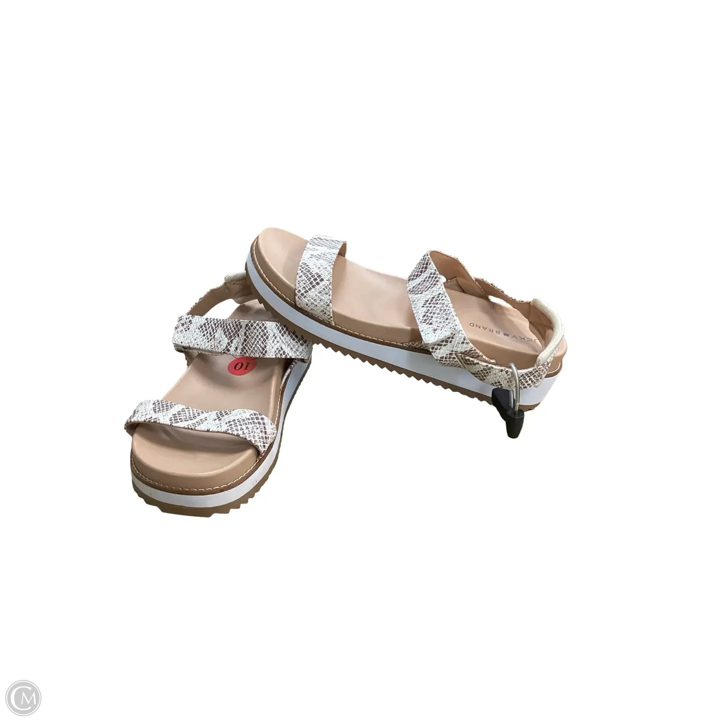 Sandals Heels Wedge By Lucky Brand In Animal Print, Size: 10