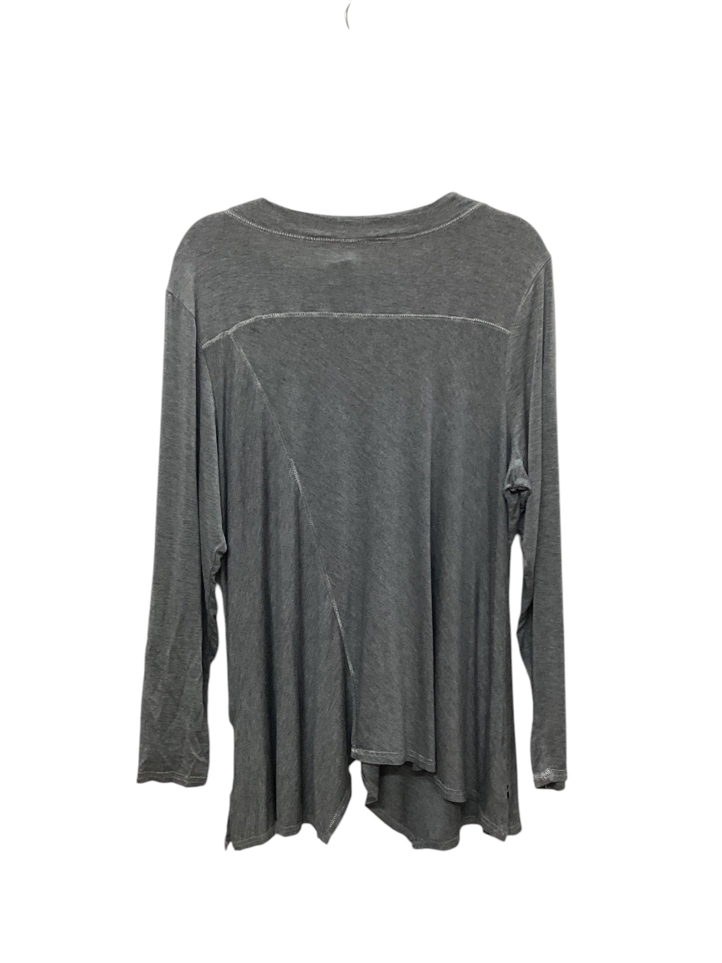 Top Long Sleeve Basic By Cato In Grey, Size: 1x