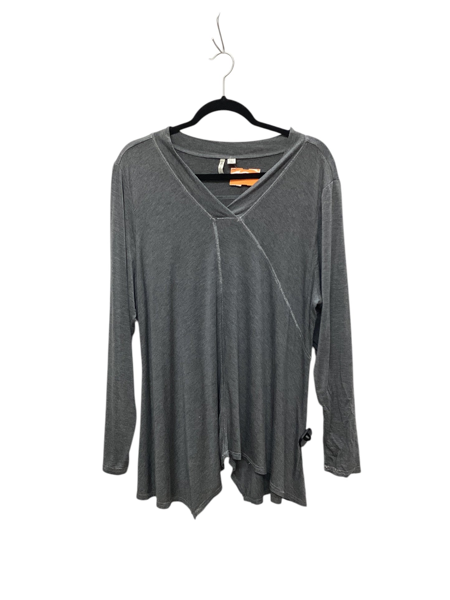 Top Long Sleeve Basic By Cato In Grey, Size: 1x