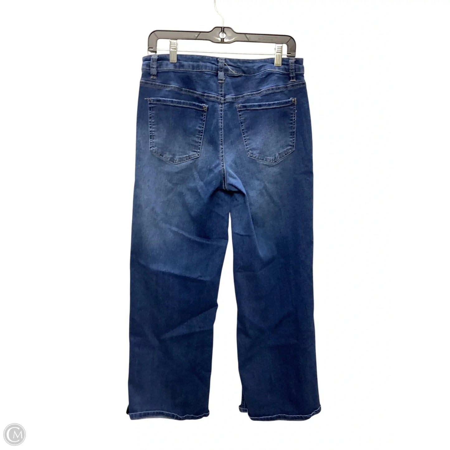 Jeans Wide Leg By Clothes Mentor In Blue Denim, Size: 10