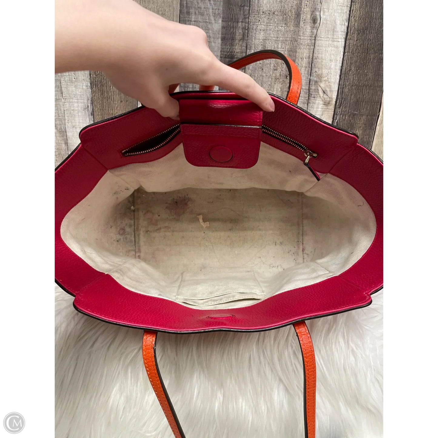 Handbag Luxury Designer By Gucci, Size: Medium