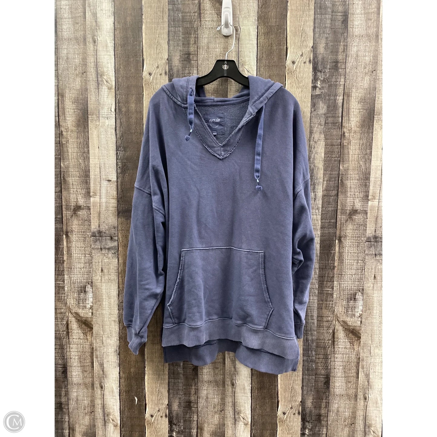 Sweatshirt Hoodie By Aerie In Blue, Size: L