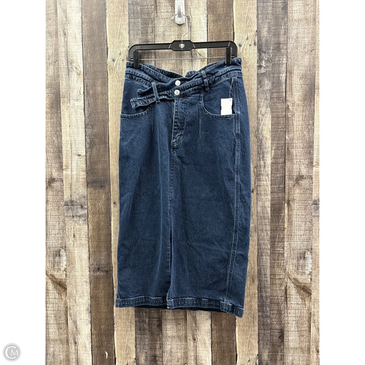 Skirt Maxi By Pilcro In Blue, Size: 14
