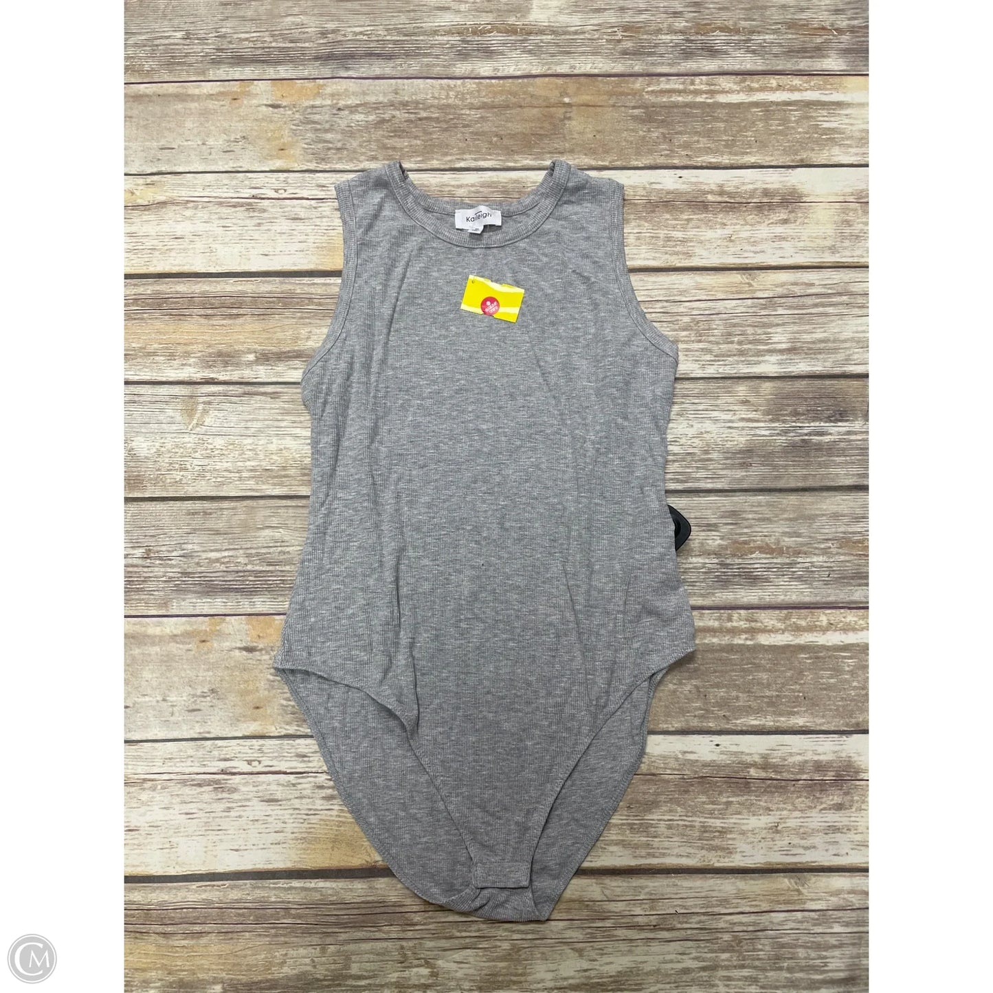 Bodysuit By Kaileigh In Grey, Size: Xl