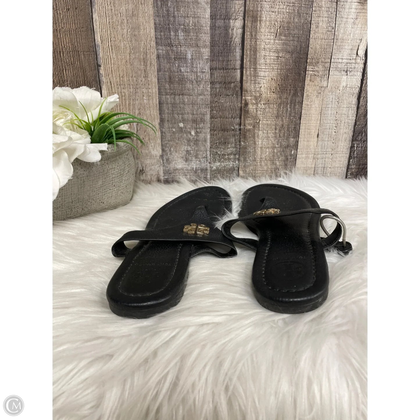 Sandals Designer By Tory Burch In Black, Size: 5
