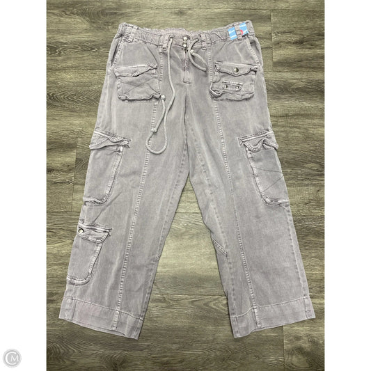 Pants Cargo & Utility By Free People In Grey, Size: L