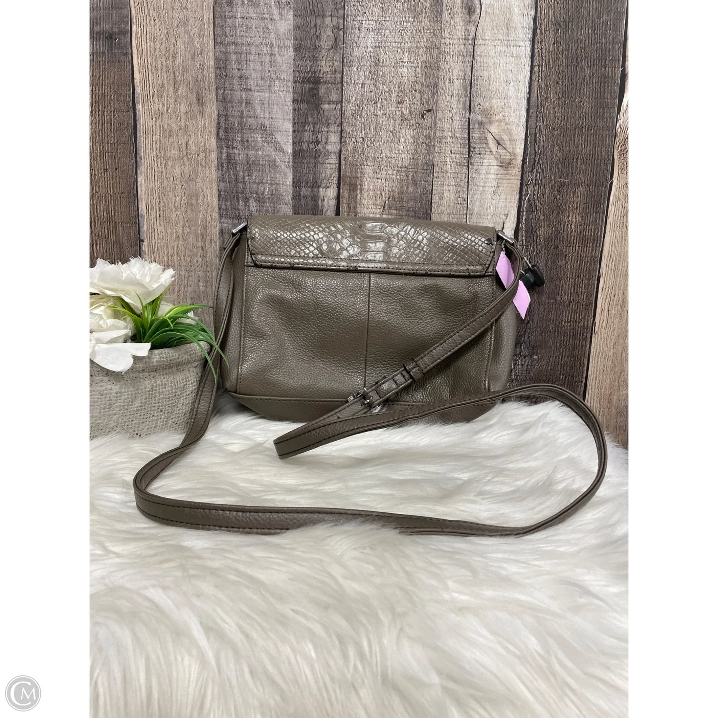 Crossbody Leather By Tignanello  Purses, Size: Small