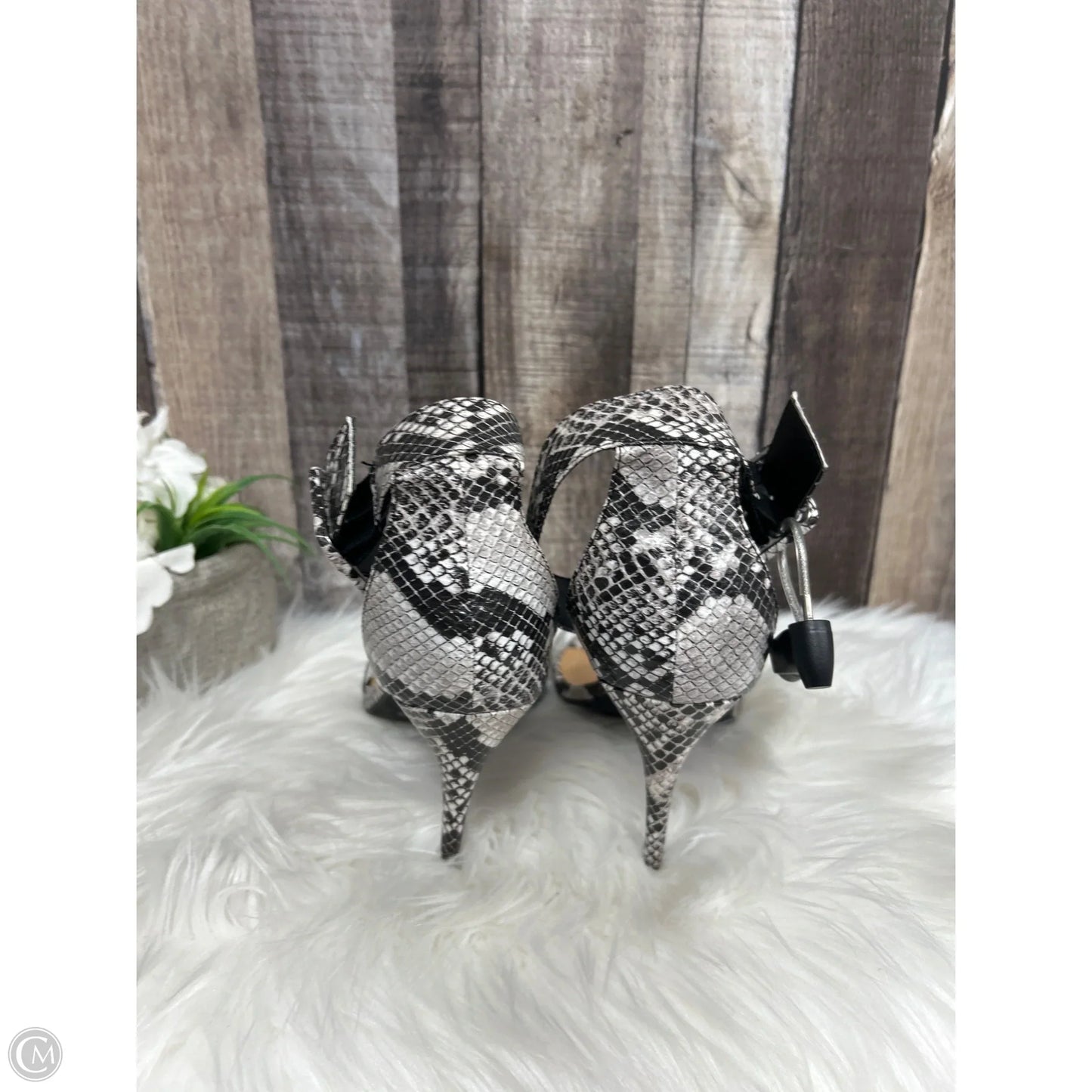 Shoes Heels Stiletto By Anne Michelle In Snakeskin Print, Size: 11