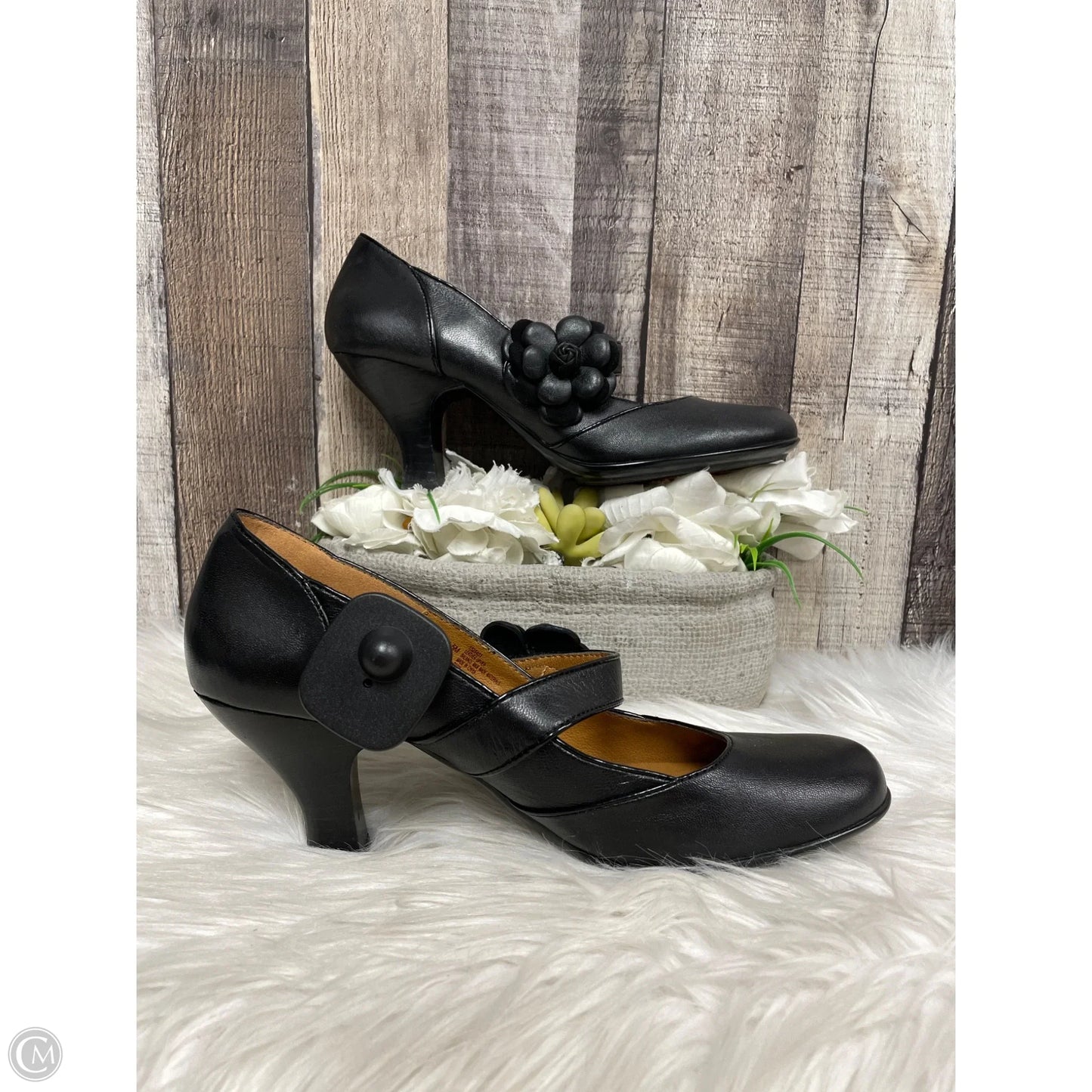 Shoes Heels Block By Sofft In Black, Size: 9.5