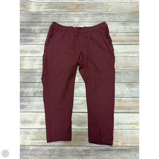 Pants Cargo & Utility By Carhartt In Maroon, Size: Xl