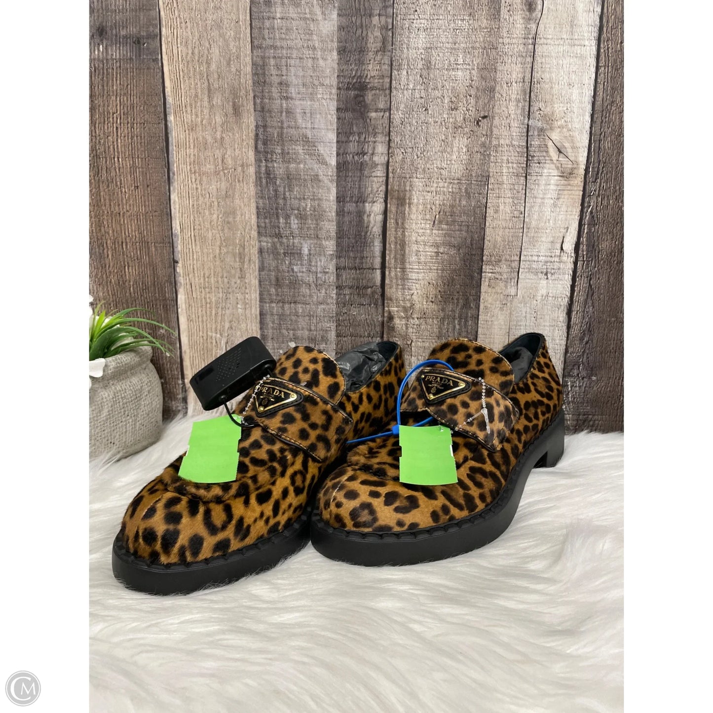 Shoes Luxury Designer By Prada In Animal Print, Size: 8.5