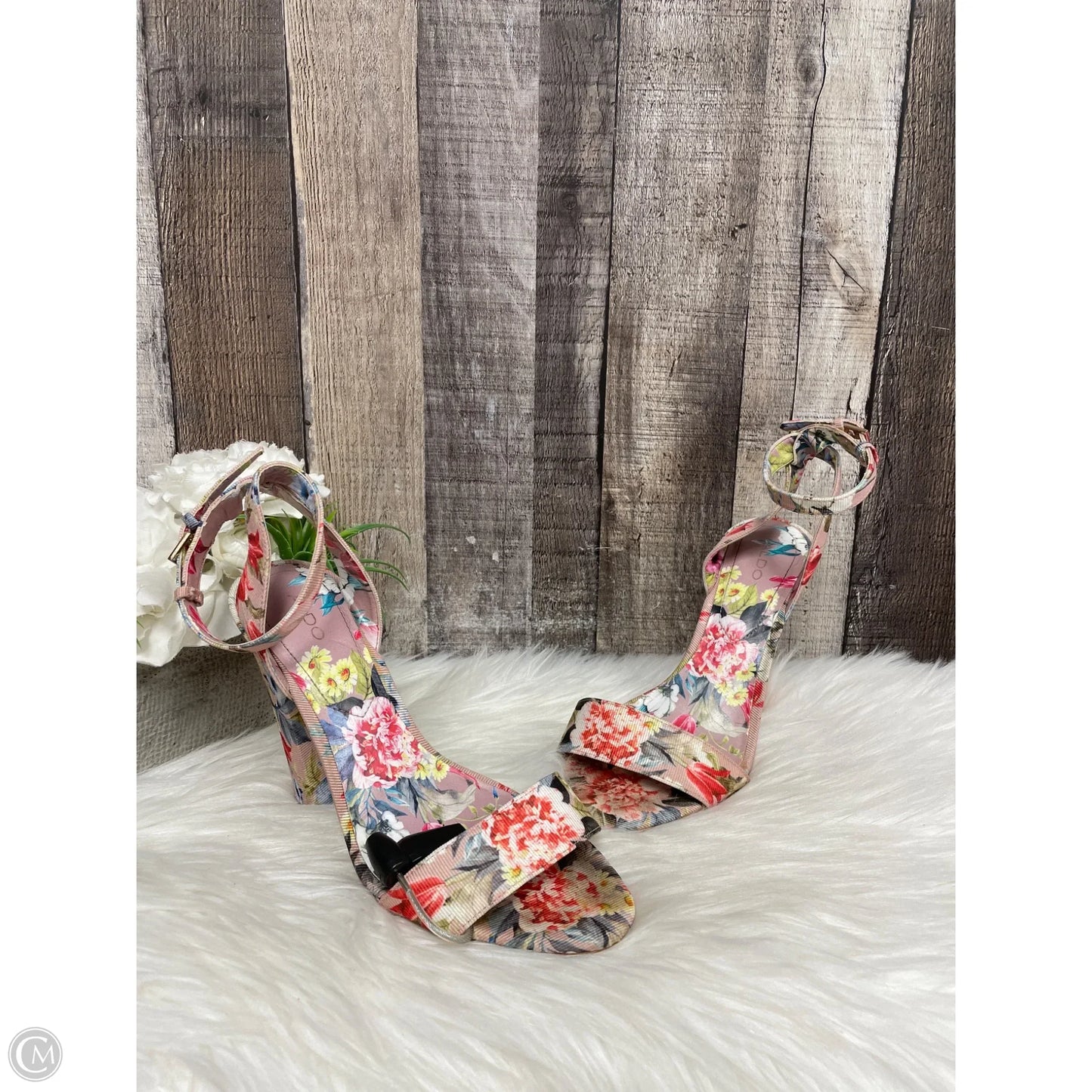 Shoes Heels Block By Alegria In Floral Print, Size: 7.5