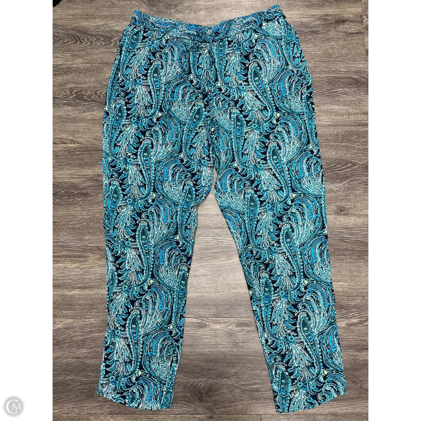 Pants Other By Talbots In Aqua, Size: L
