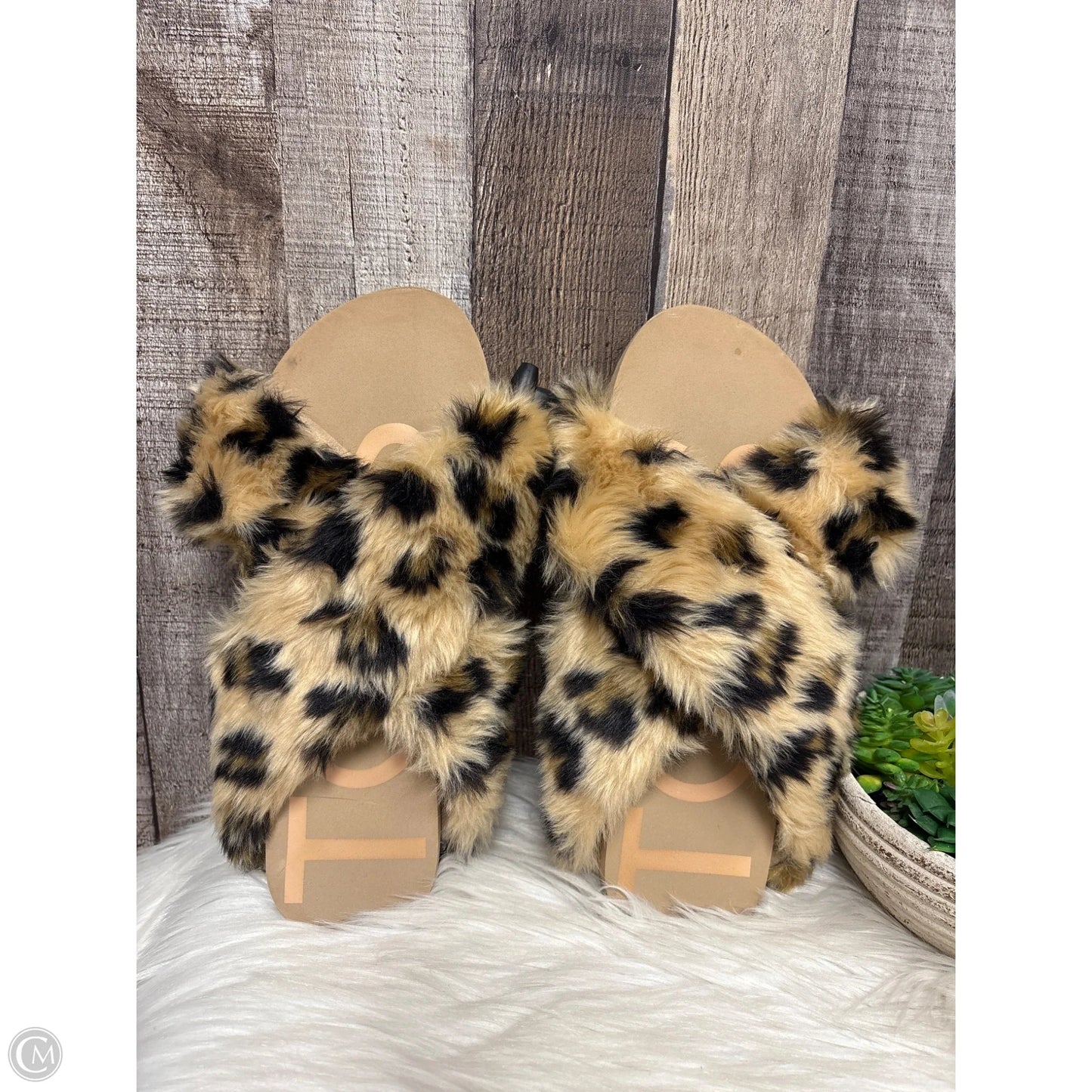 Sandals Flats By Toms In Leopard Print, Size: 10