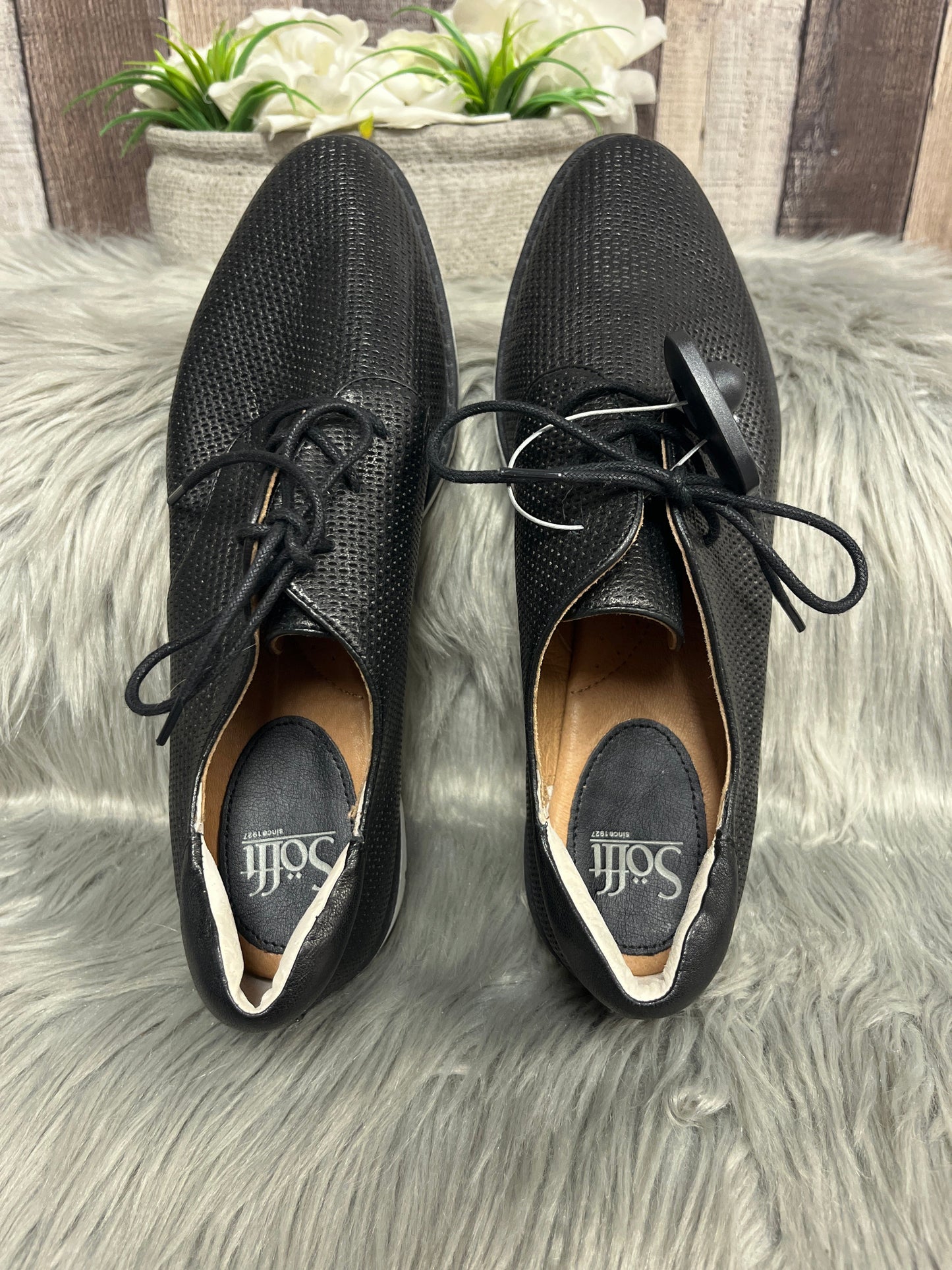 Black Shoes Flats Sofft, Size 10
