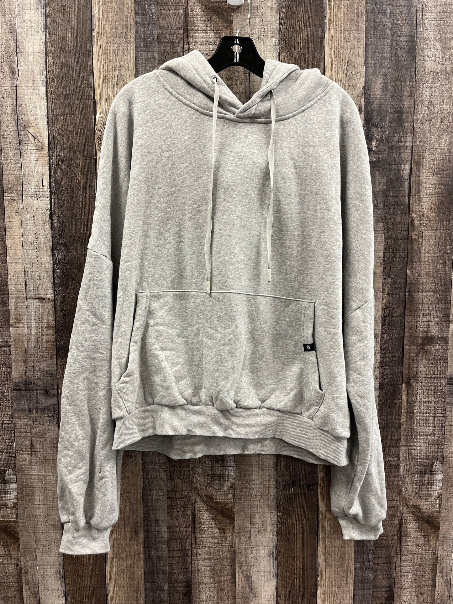 Sweatshirt Hoodie By Cme In Grey, Size: L