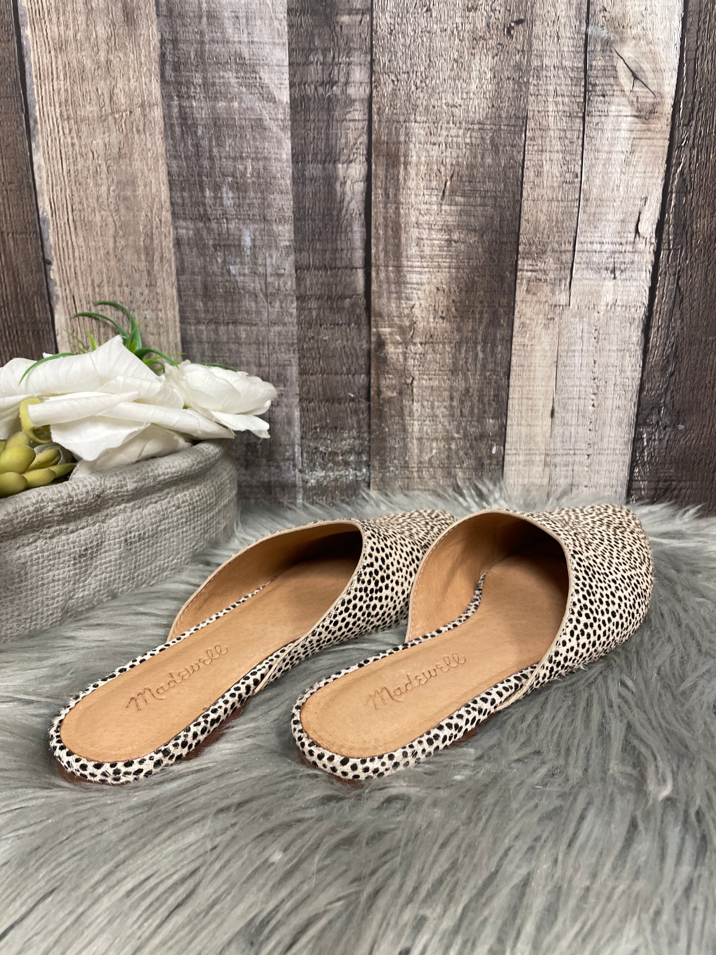 Shoes Flats By Madewell In Animal Print, Size: 5.5