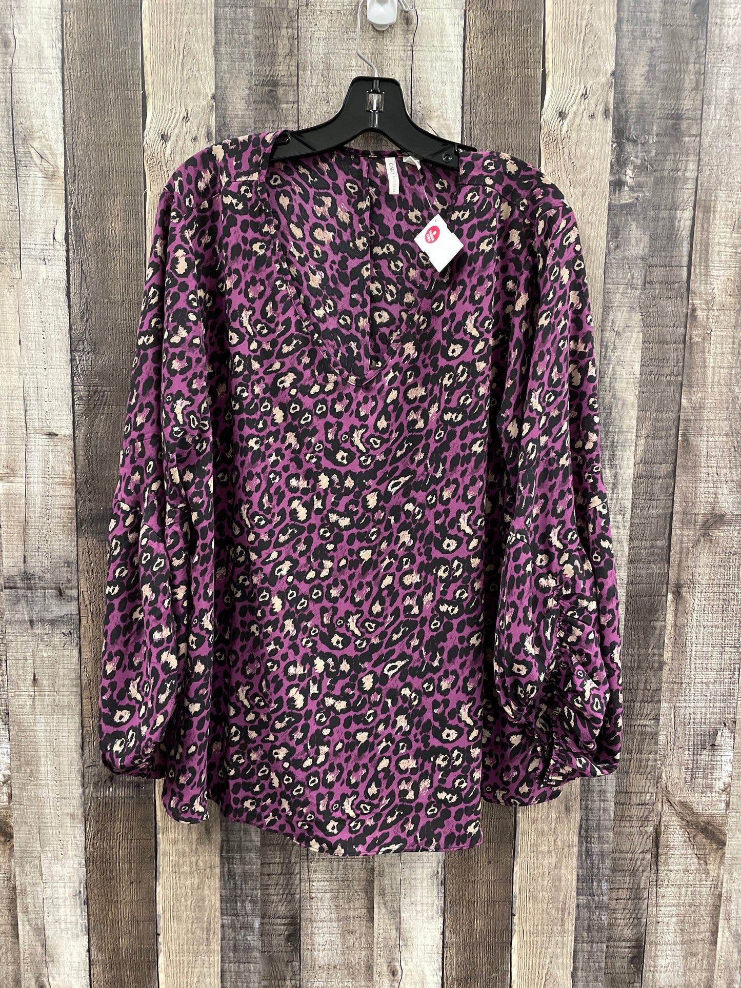 Top Long Sleeve By Cato In Animal Print, Size: Xl