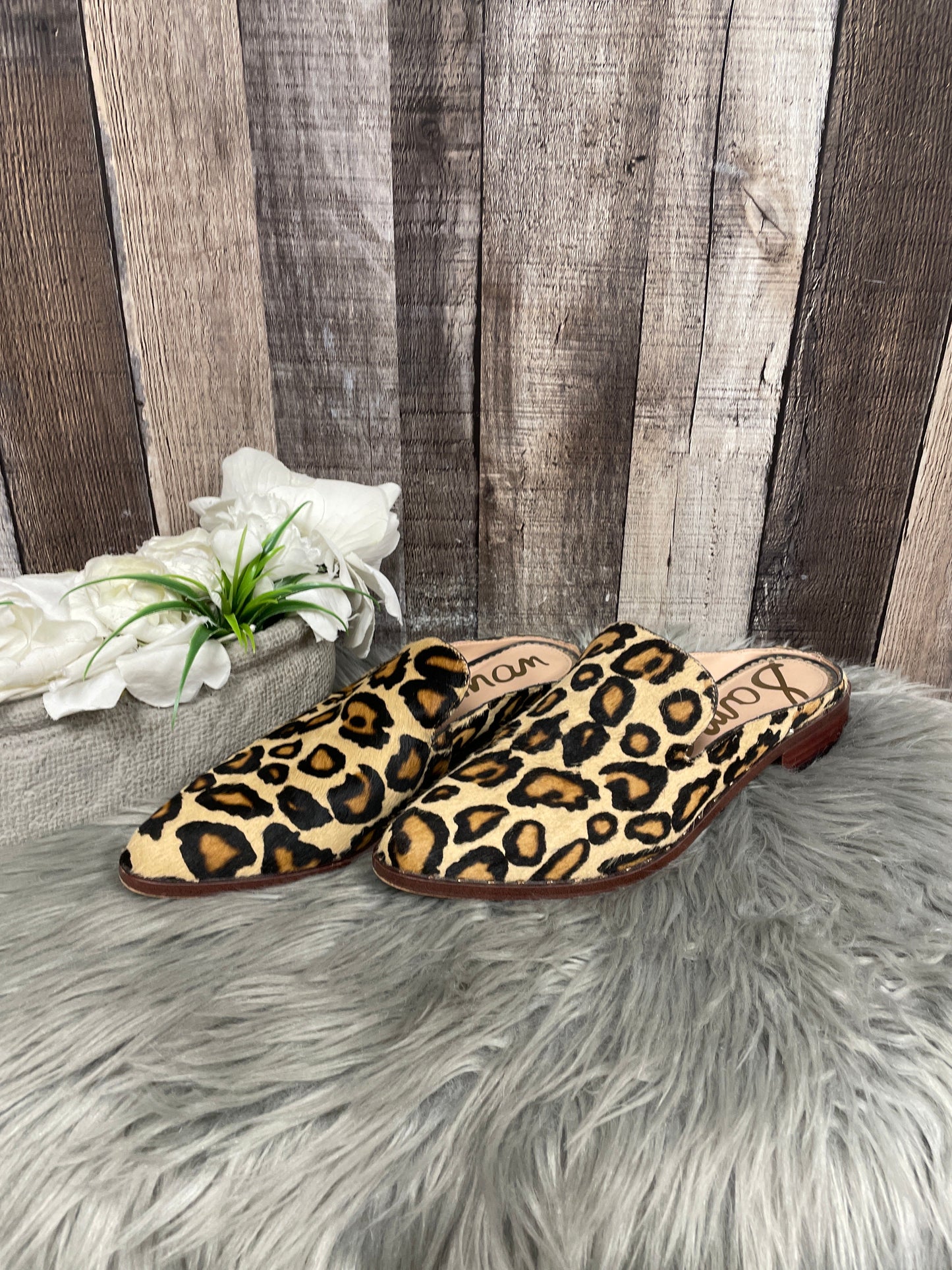 Shoes Flats By Sam Edelman In Animal Print, Size: 8.5