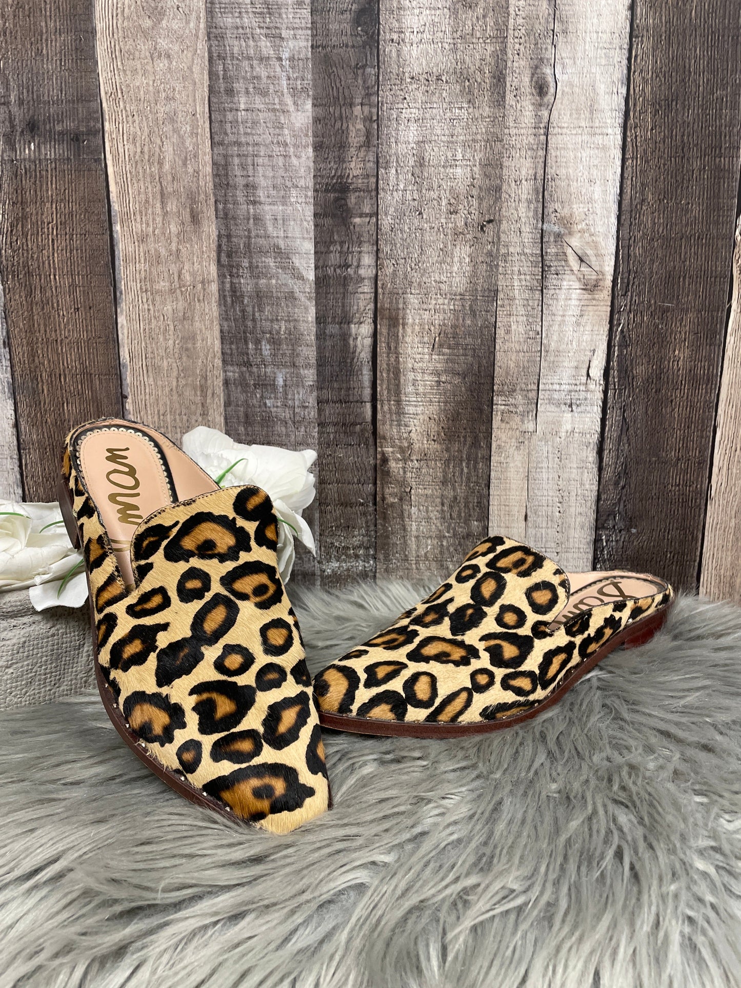 Shoes Flats By Sam Edelman In Animal Print, Size: 8.5