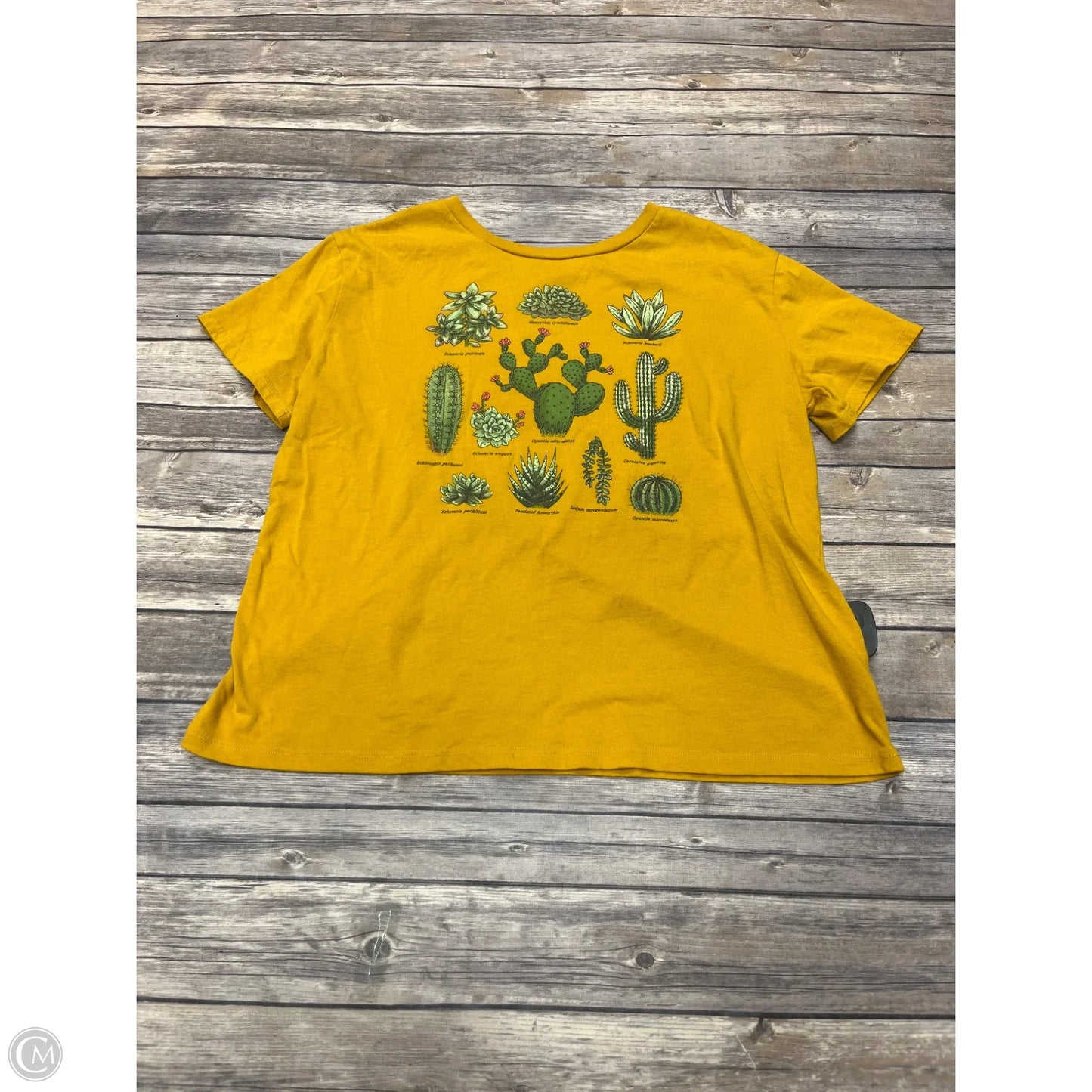 Top Short Sleeve Basic By Fifth Sun In Yellow, Size: Xl