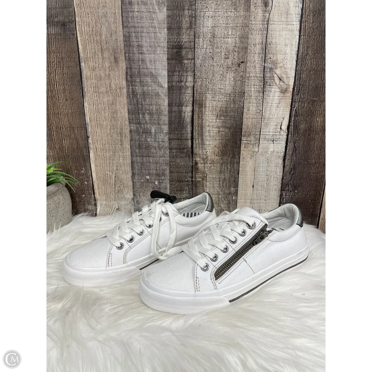 Shoes Sneakers By Taos In White, Size: 6.5