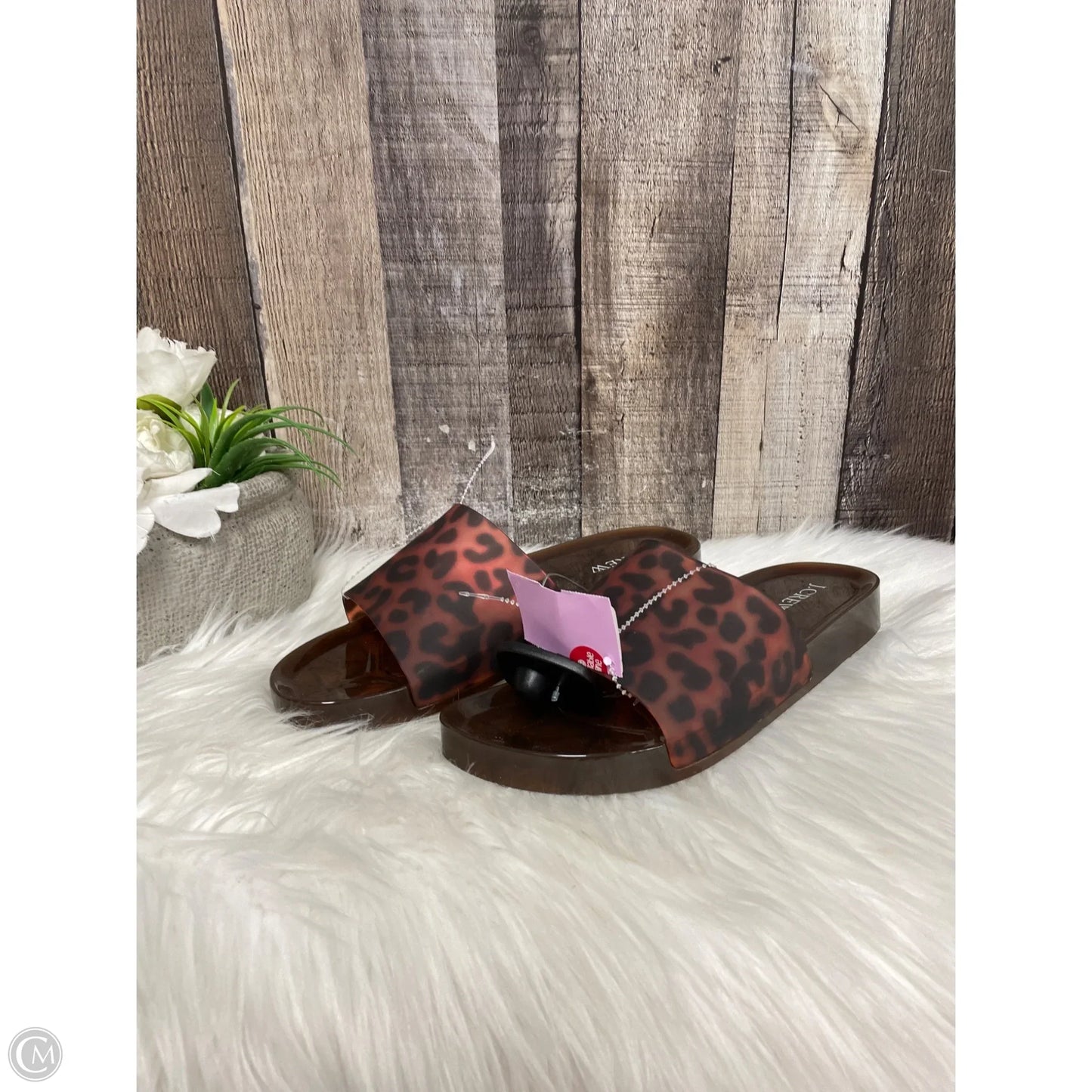 Shoes Flats By J. Crew In Animal Print, Size: 7