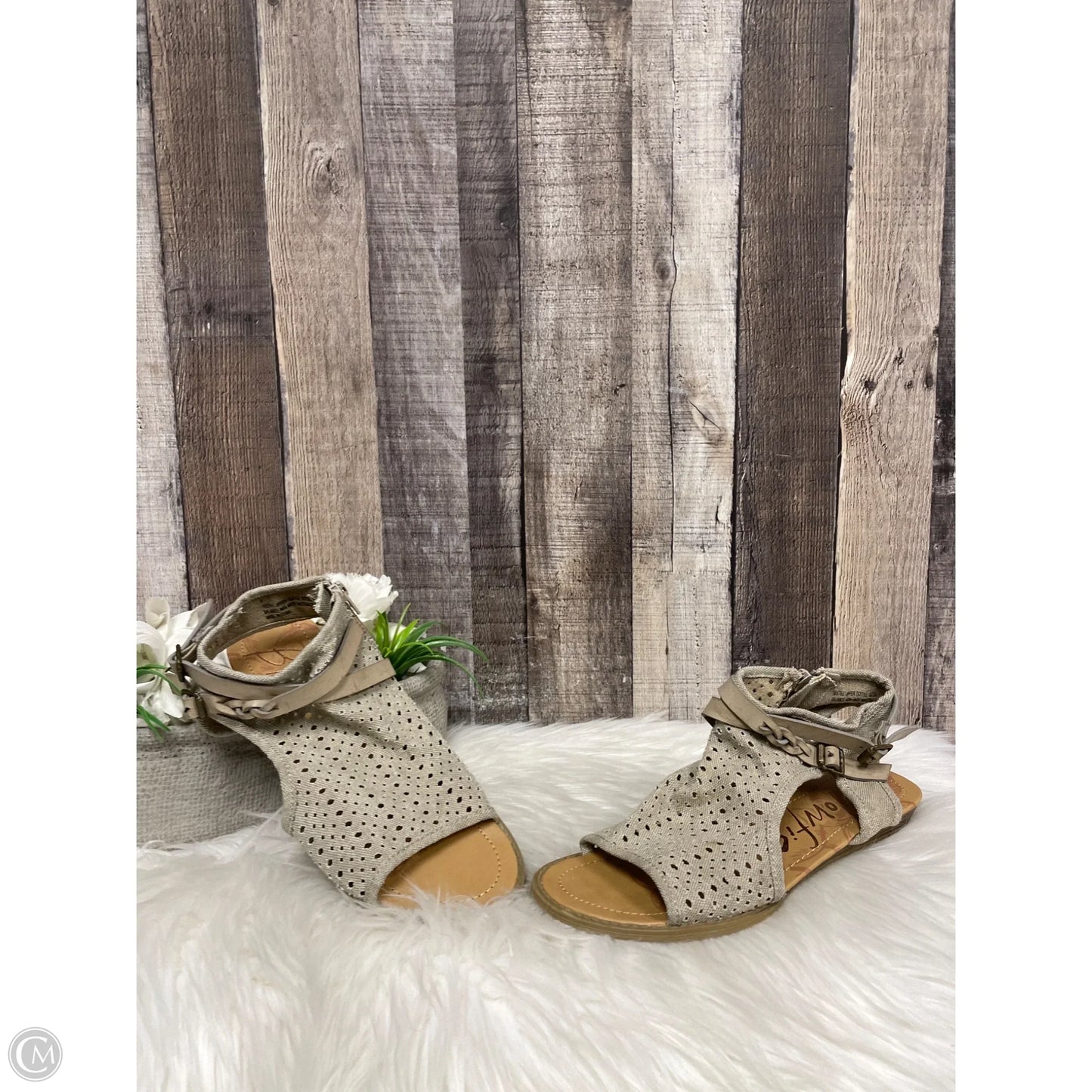 Sandals Flats By Blowfish In Taupe, Size: 8