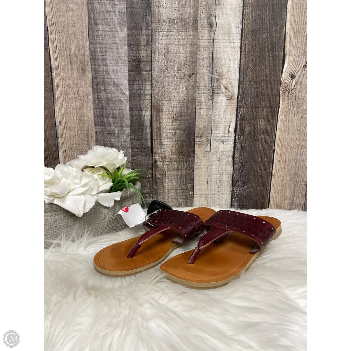 Sandals Flats By Maurices In Maroon, Size: 8