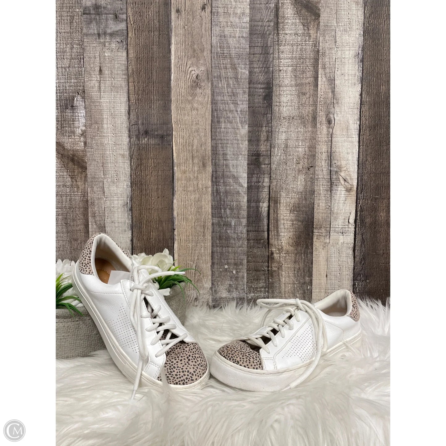 Shoes Sneakers By Universal Thread In Animal Print, Size: 7