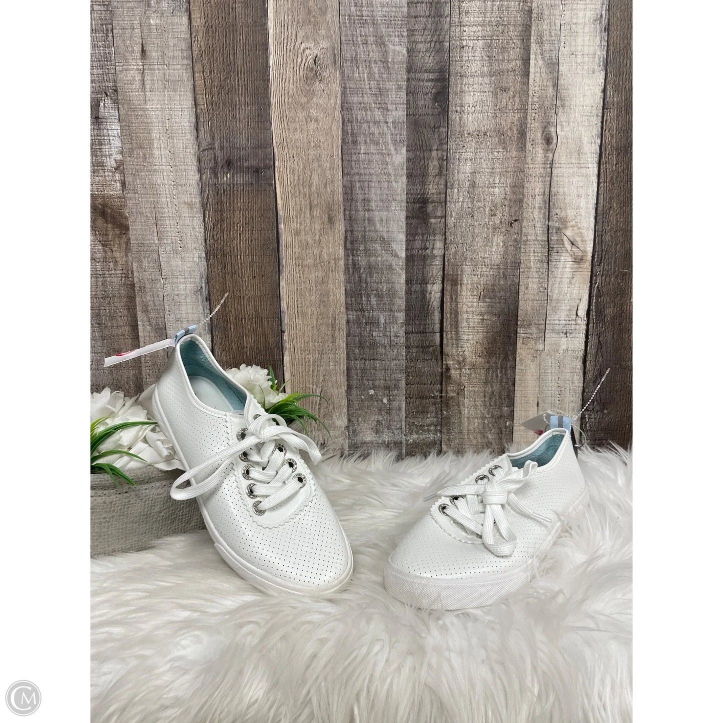 Shoes Sneakers By Tommy Bahama In White, Size: 7