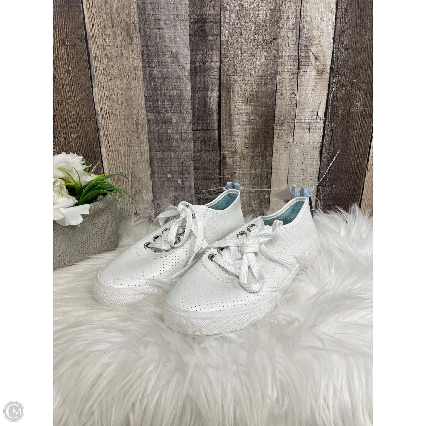 Shoes Sneakers By Tommy Bahama In White, Size: 7