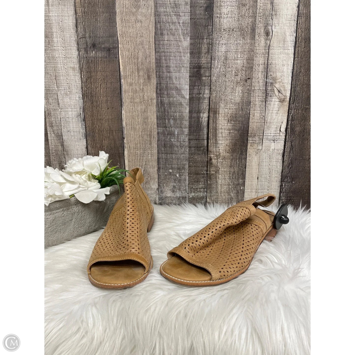 Sandals Flats By Sofft In Brown, Size: 9