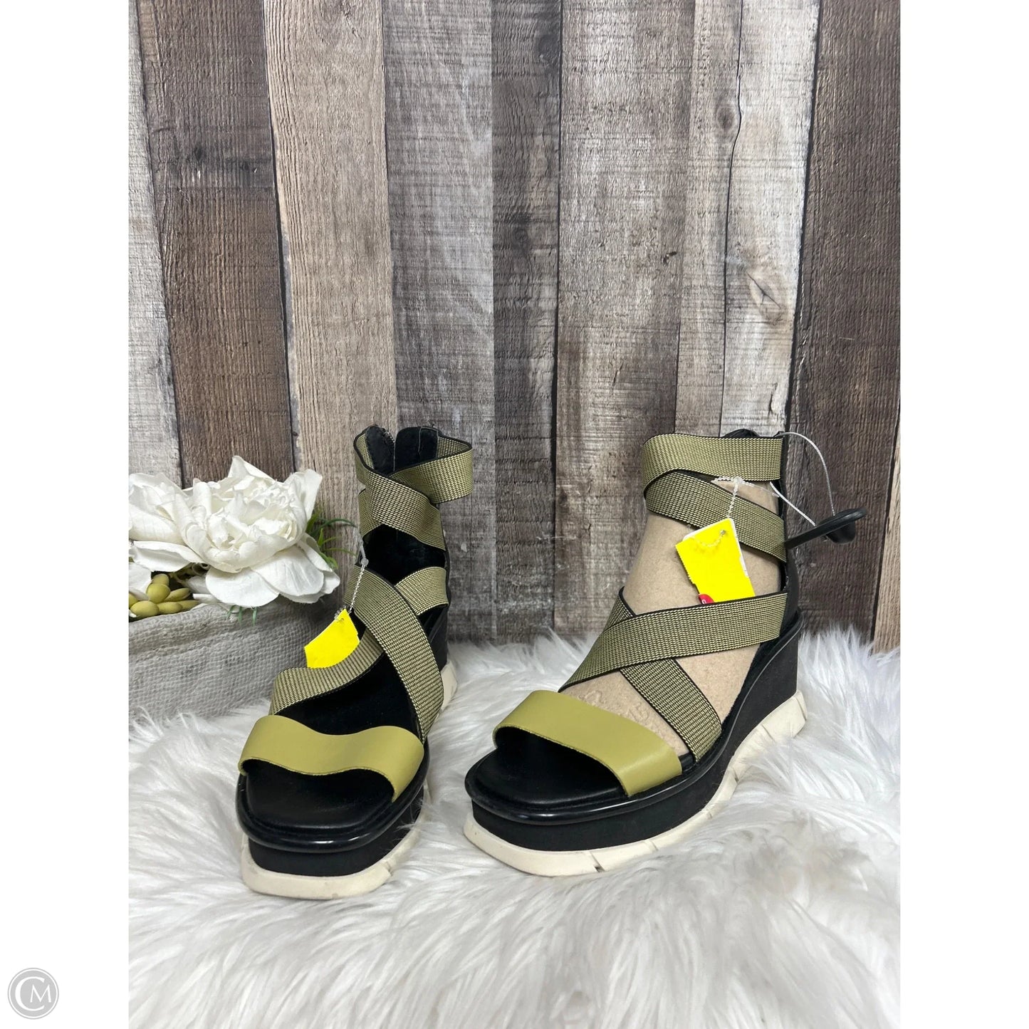 Sandals Heels Wedge By Sorel In Blue & Green, Size: 6.5