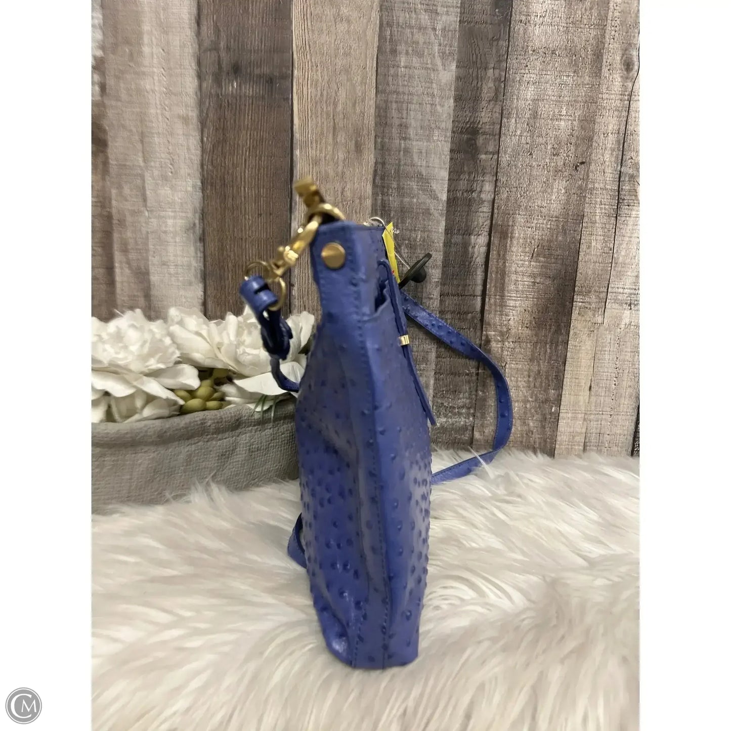 Crossbody Designer By Brahmin, Size: Large