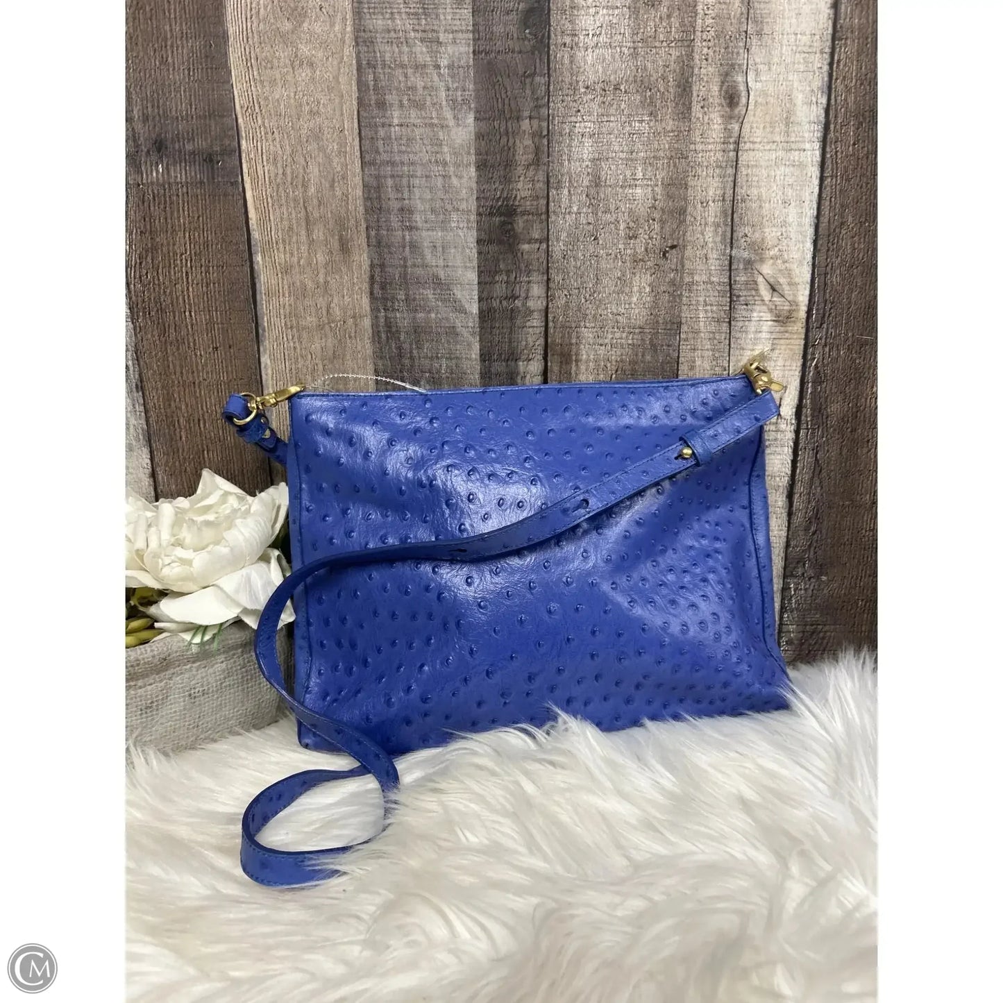 Crossbody Designer By Brahmin, Size: Large