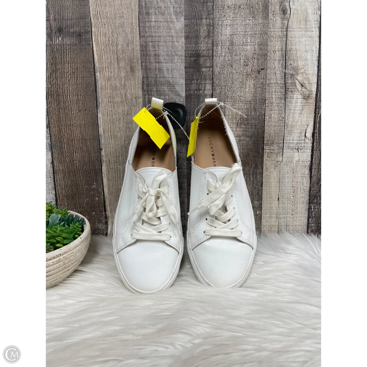 Shoes Sneakers By Lucky Brand In White, Size: 8
