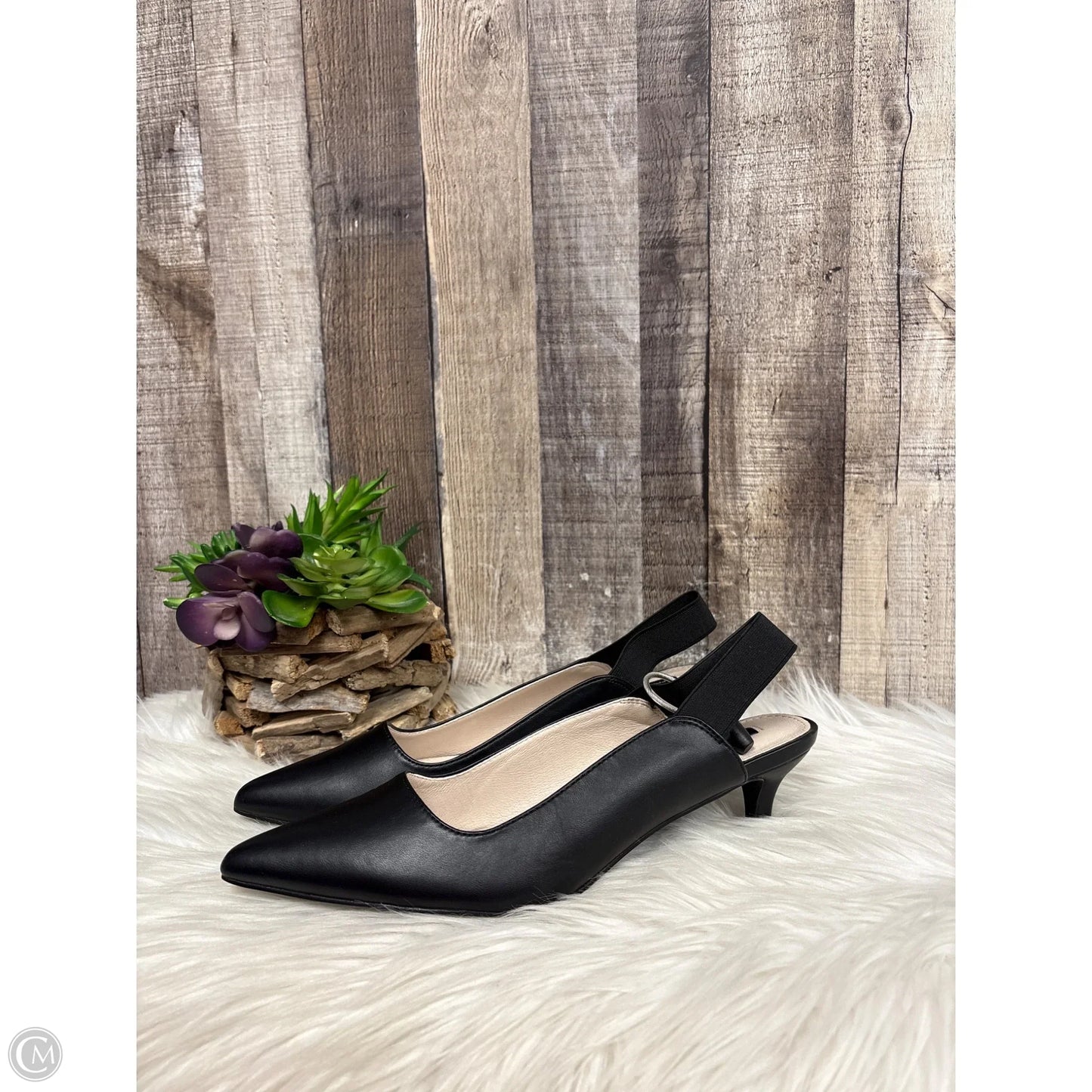 Shoes Heels Block By French Connection In Black, Size: 8.5