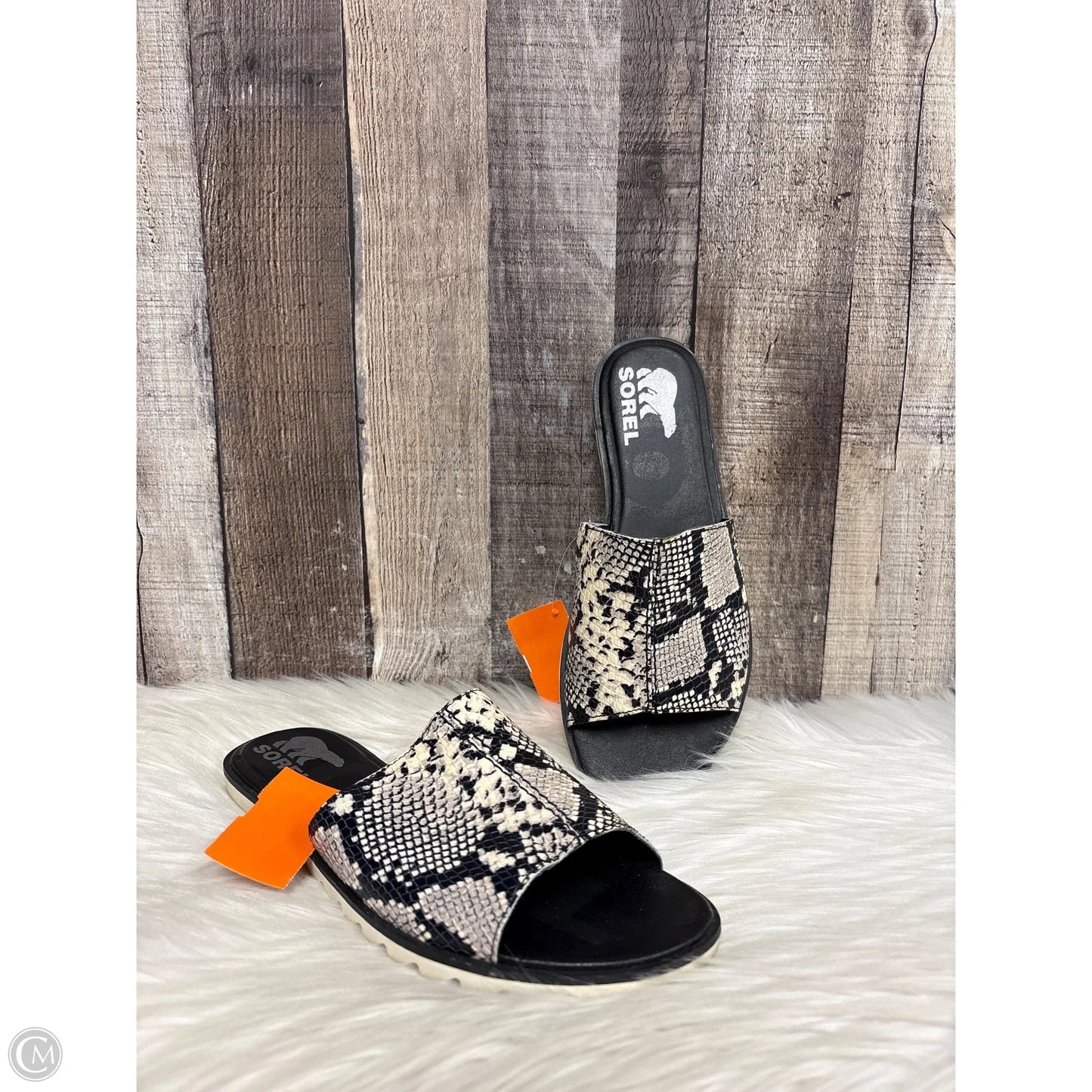 Sandals Flats By Sorel In Snakeskin Print, Size: 7