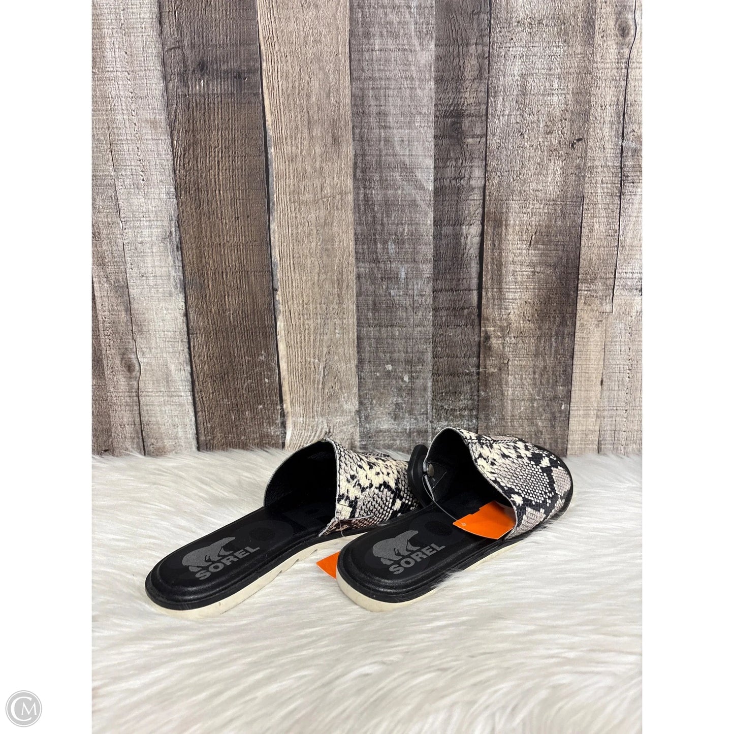 Sandals Flats By Sorel In Snakeskin Print, Size: 7
