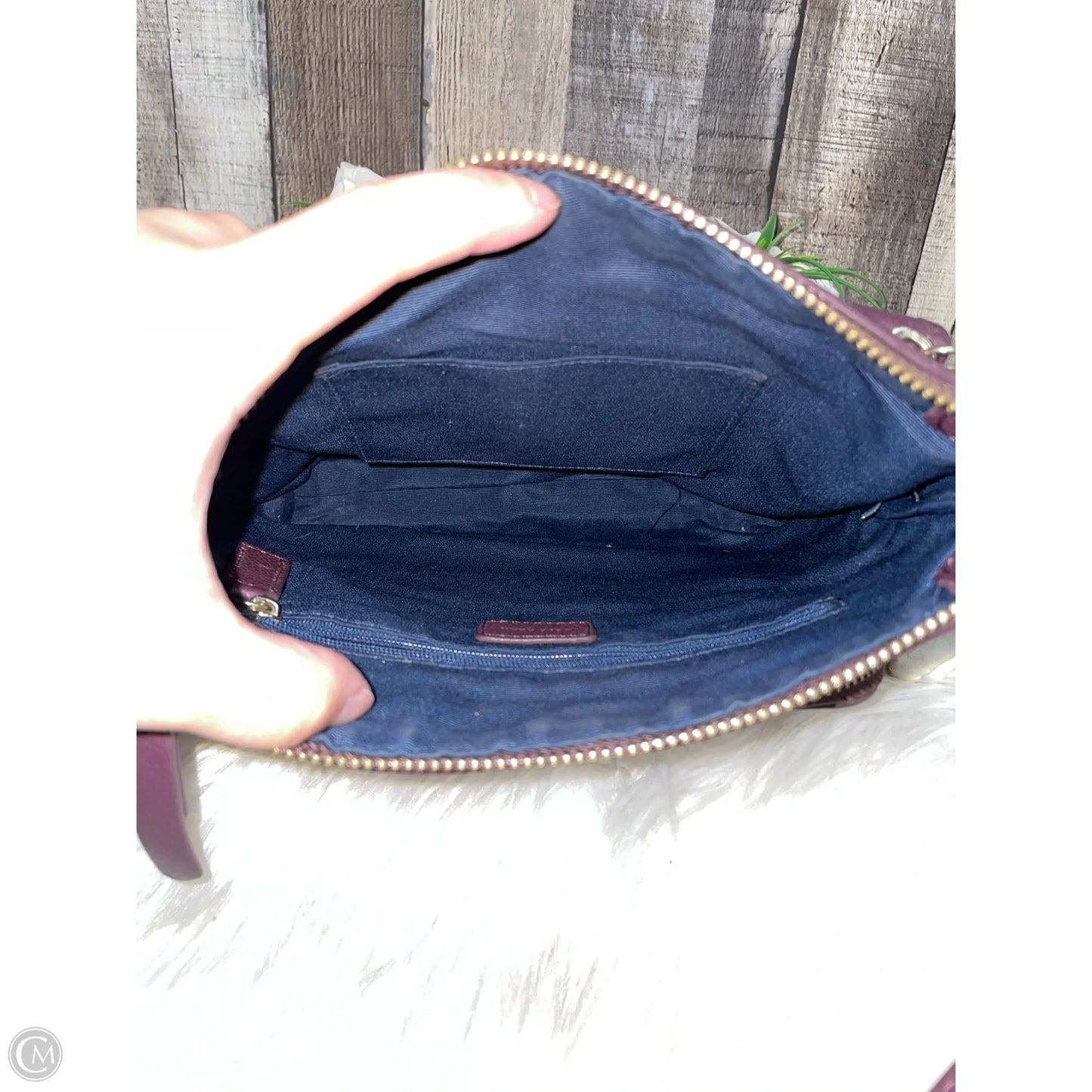 Crossbody By Cole-haan, Size: Medium