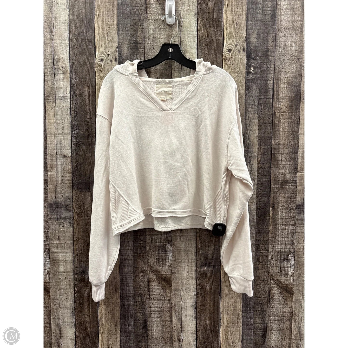 Sweatshirt Hoodie By American Eagle In Ivory, Size: M