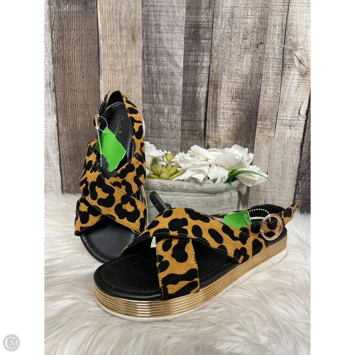 Sandals Heels Platform By Qupid In Animal Print, Size: 8
